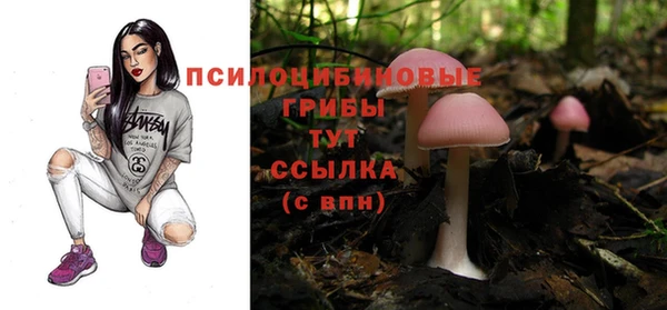 jwh Алексин