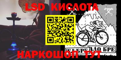 дмт Кингисепп