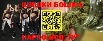 дмт Кингисепп
