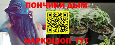 дмт Кингисепп