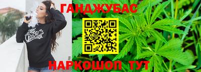 дмт Кингисепп