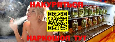 дмт Кингисепп