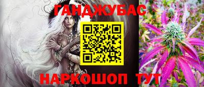 дмт Кингисепп