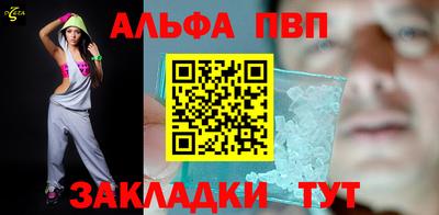 дмт Кингисепп